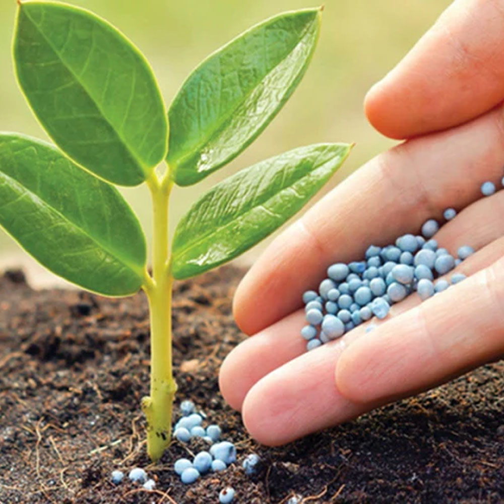 Fertilizantes y Abonos